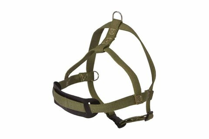 ДАРЭЛЕНД Серия "COTTON" Шлейка для собак брезентовая простая 25 мм