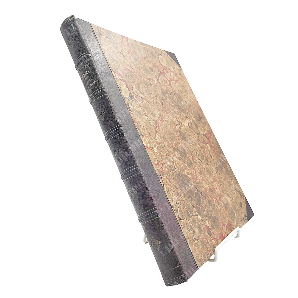 Гоголевское время. Оригинальные рисунки графа Я. П. де-Бальмен (1838-1839 г.), 1909.