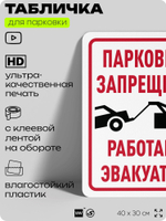 Табличка для парковки "Парковка запрещена, работает эвакуатор", для дома, офиса, организаций, 40х30 см, Silver Plane x Айдентика Технолоджи