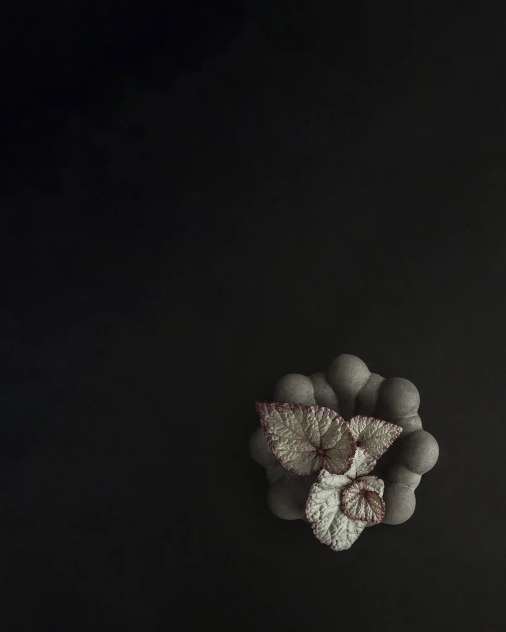 Поднос/поддон 101 Copenhagen Bloom Tray, Mini - Dark Grey