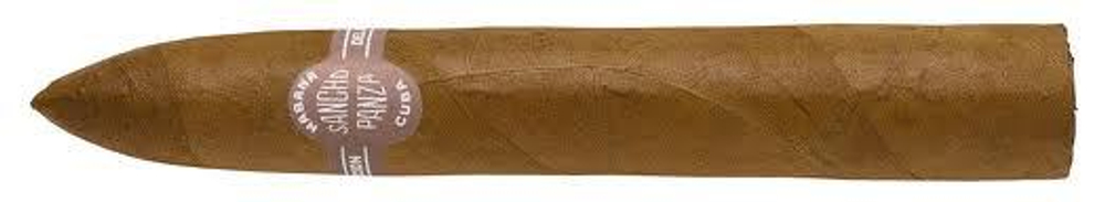 Sancho Panza Belicosos