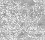 Дизайнерские обои Wall Street Selva