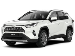 Упор (амортизатор) капота для Toyota Rav 4 XA50 (2018-) Autoinnovation.15-08