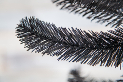 Сосна Санкт-Петербург 120см черная Triumph Tree