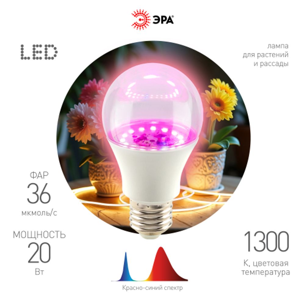 Фитолампа для растений светодиодная ЭРА FITO-20W-RB-E27 красно-синего спектра 20 Вт Е27 | Фитолампы Е27