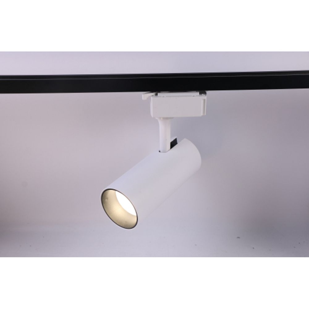 Трековый светильник однофазный ЭРА TR5-2040 WH светодиодный 20Вт 4000К белый