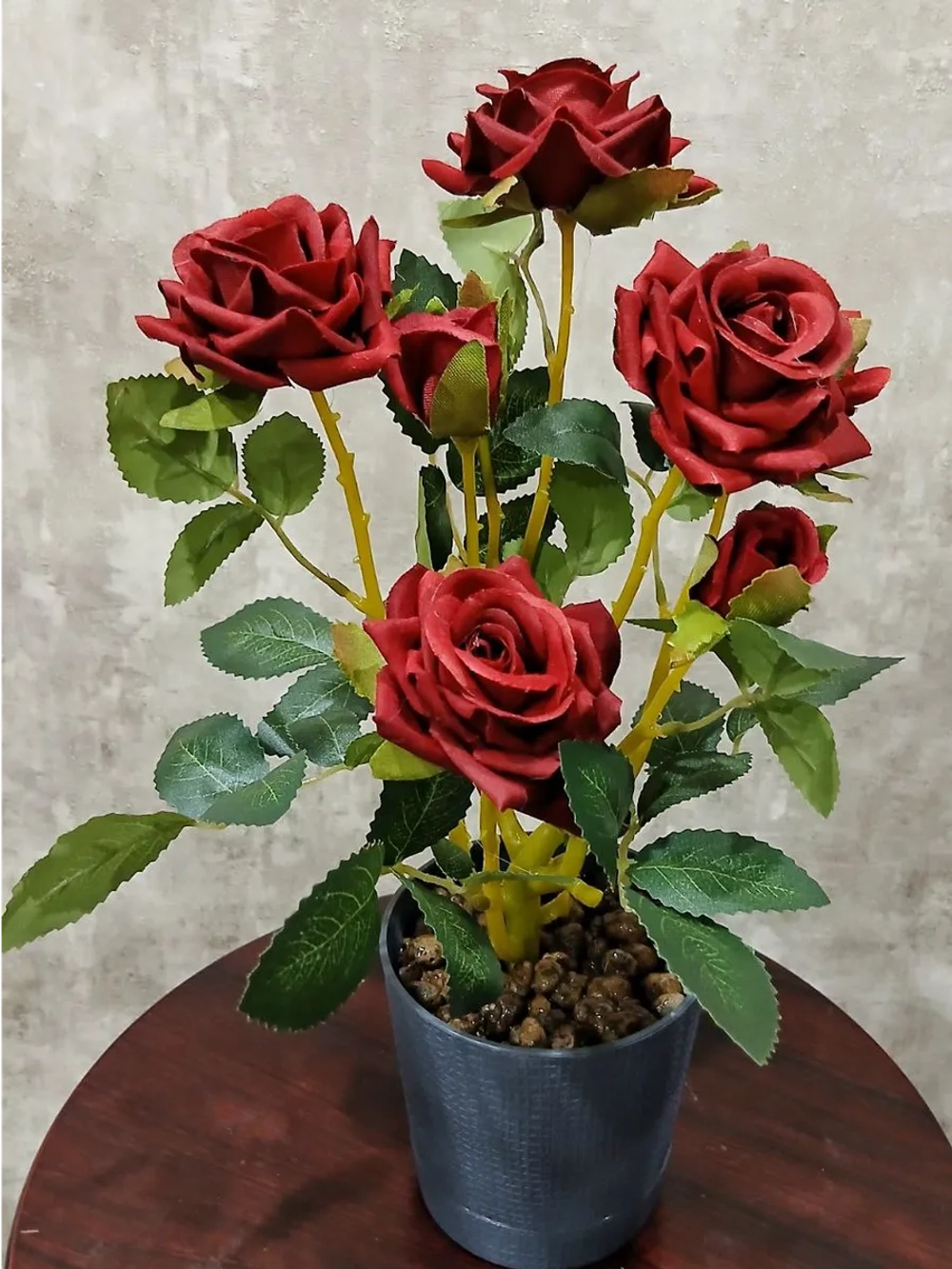 Роза кустовая бархатная, без кашпо.