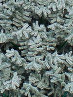 Уличная елка ствольная "Альпийская изумрудная" (пвх бело-зелёная) 10 м