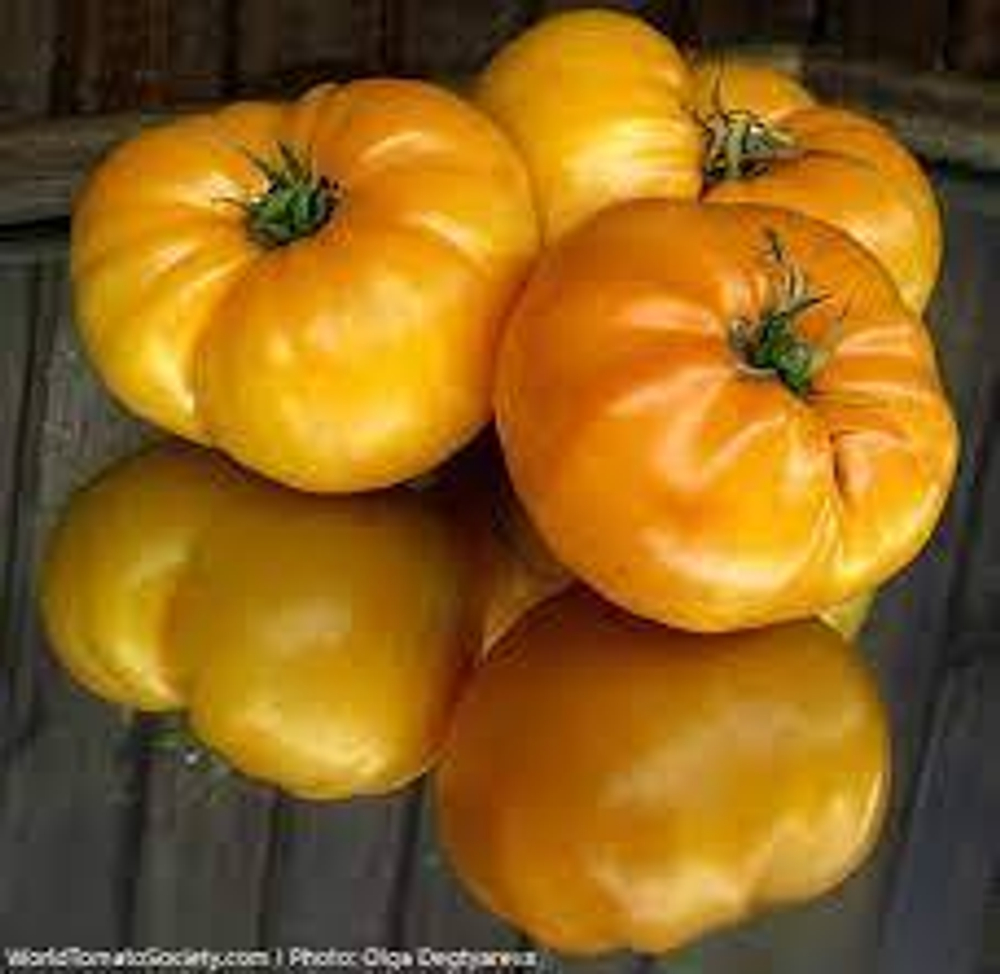 Большой Золотой Вкусный / Big Golden Delicious/
