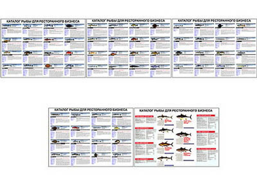 Плакаты ПРОФТЕХ &quot;Каталог рыб для ресторанного бизнеса&quot; (5 пл, винил, 70х100)