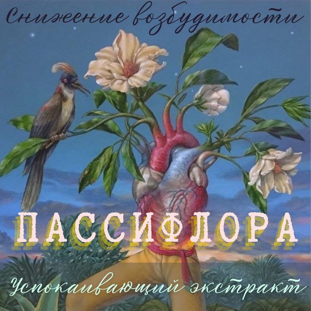 Пассифлора Инкарнатная,(Passiflora Incarnata, Passion Flower Herb, Страстоцвет)
