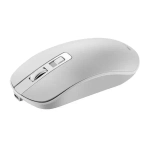 Мышь беспроводная Canyon (CNS-CMSW18PW)