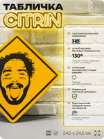 Табличка декоративная "Пост Малон, Post Malone" на дверь и стену, прикольная штука в подарок, декоративный знак, 24,5х24,5 см, пластиковая, Айдентика Технолоджи