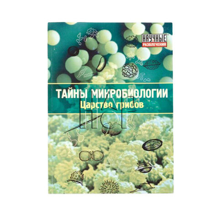 Развивающая игра Царство грибов