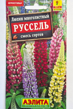 Люпин Руссель, смесь сортов СМЦ-224