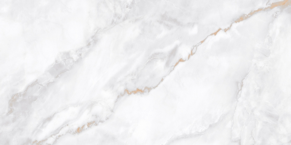 Neodom Marble Ornato Wave Polished 60x120