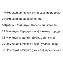 Намордник инавационый NEW BLACK от K9 - INDUSTRIES