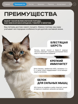 Корм сухой для взрослых кошек породы Невская маскарадная, с лососем, 5 кг, QUATTRO