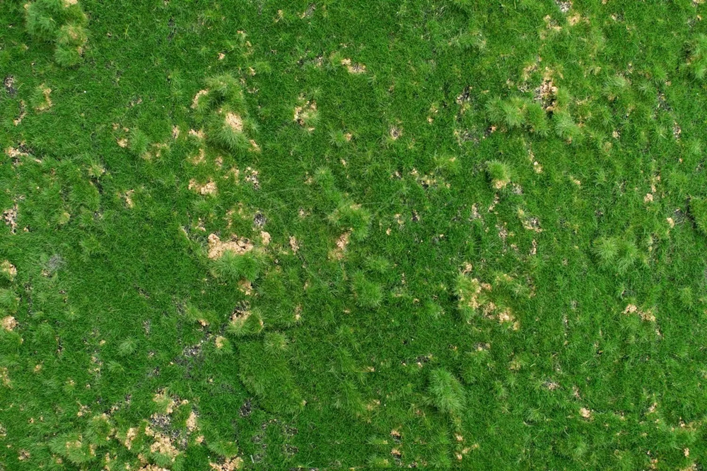 Коврик мха на войлоке 003, 2*1 м (с разными бугорками)