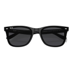 Очки RayBan Logo TR90, RB4391D/667485