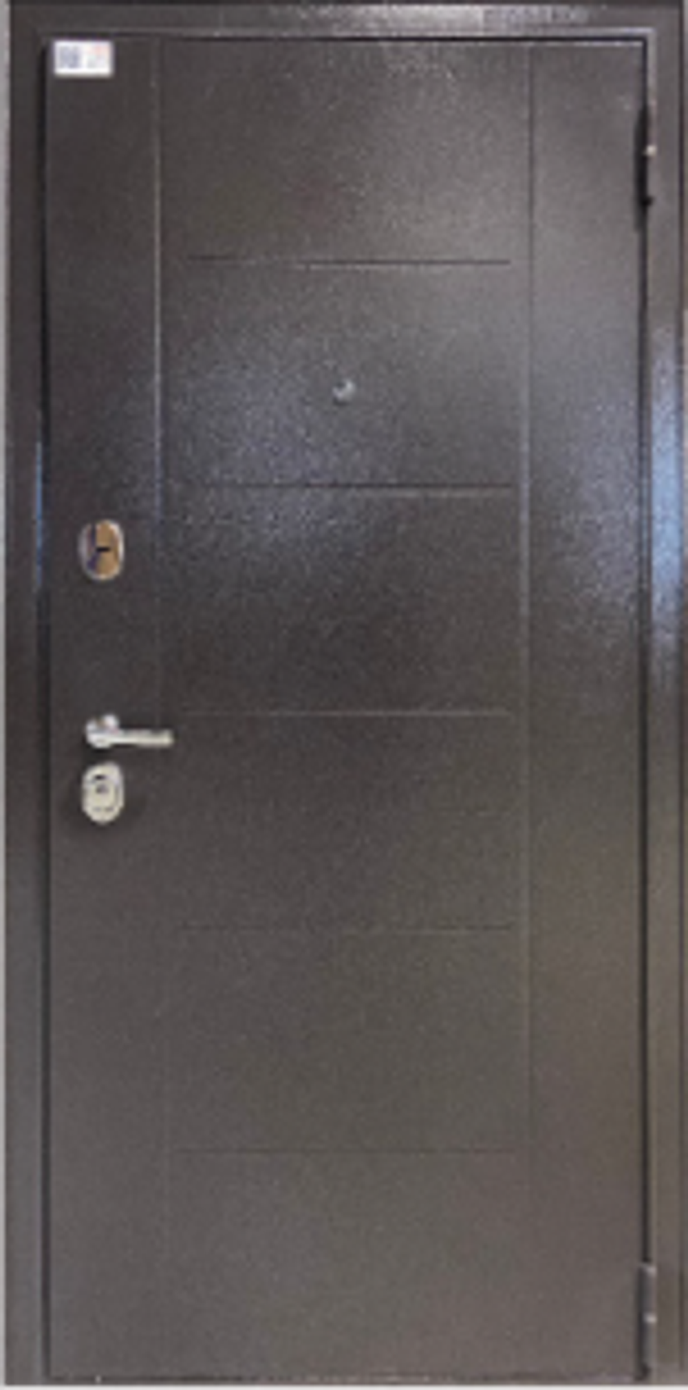 Входная дверь Мастино Trust ECO RL-4: Размер 2050/860-960, открывание ПРАВОЕ