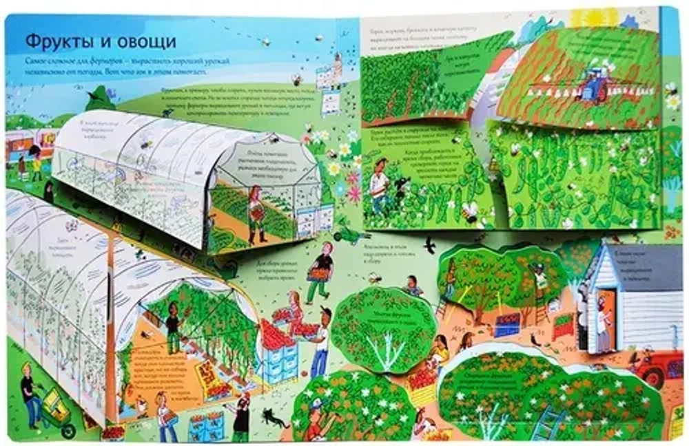 Открой тайны еды