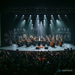 Световой прибор Amixled WASH 37x40W K25