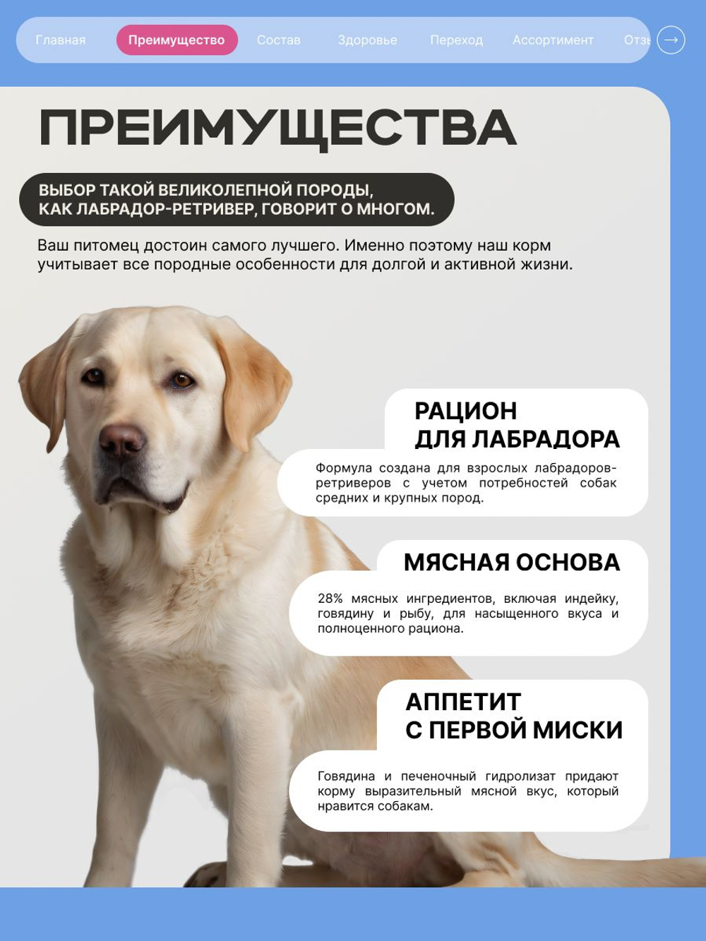 Корм сухой для взрослых собак породы Лабрадор-ретривер, премиум полнорационный комплекс, с говядиной, 3 кг, QUATTRO