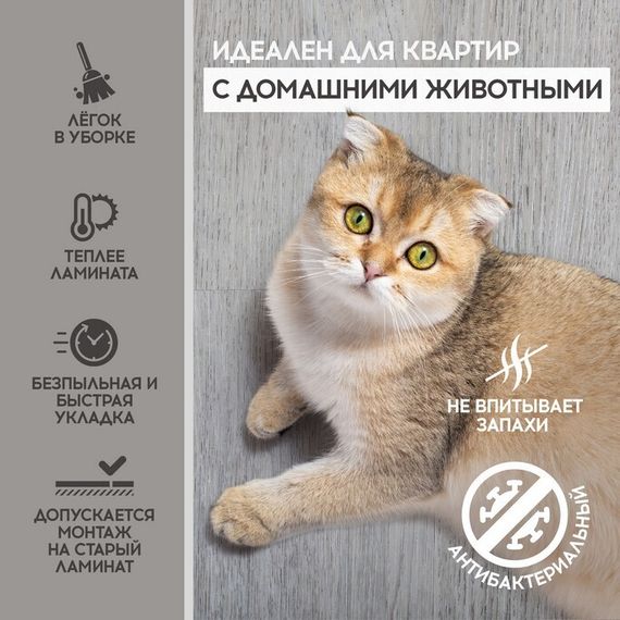 SPC ламинат I-Floors Basic - Дуб Брунсвик (4.2 мм)