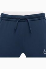 Штаны Nike Therma-Fit Academy Winter Warrior Junior