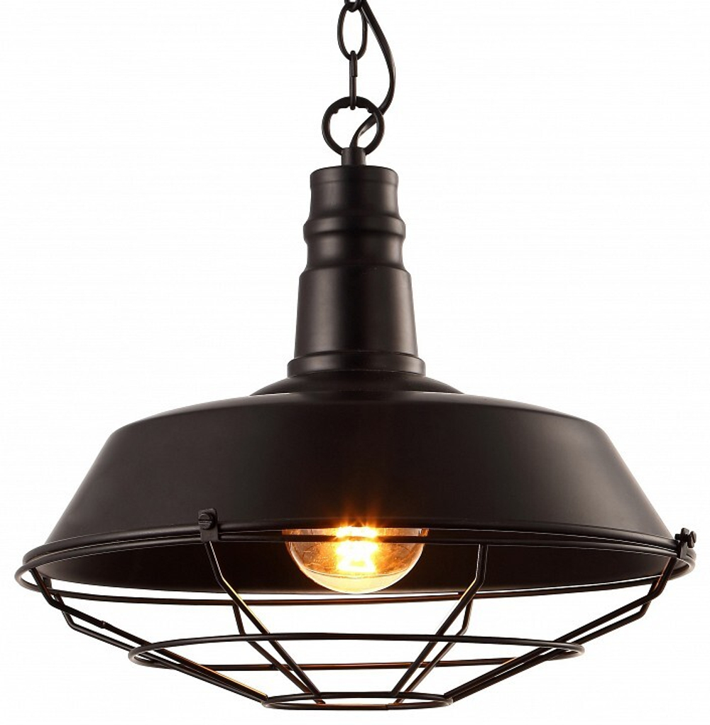Подвесной светильник Arte Lamp Pandora A9183SP-1BK