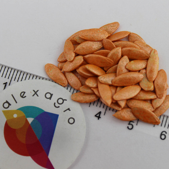 ДИРЕКТОР F1 семена огурца партенокарпического (Nunhems) цена – фото 7