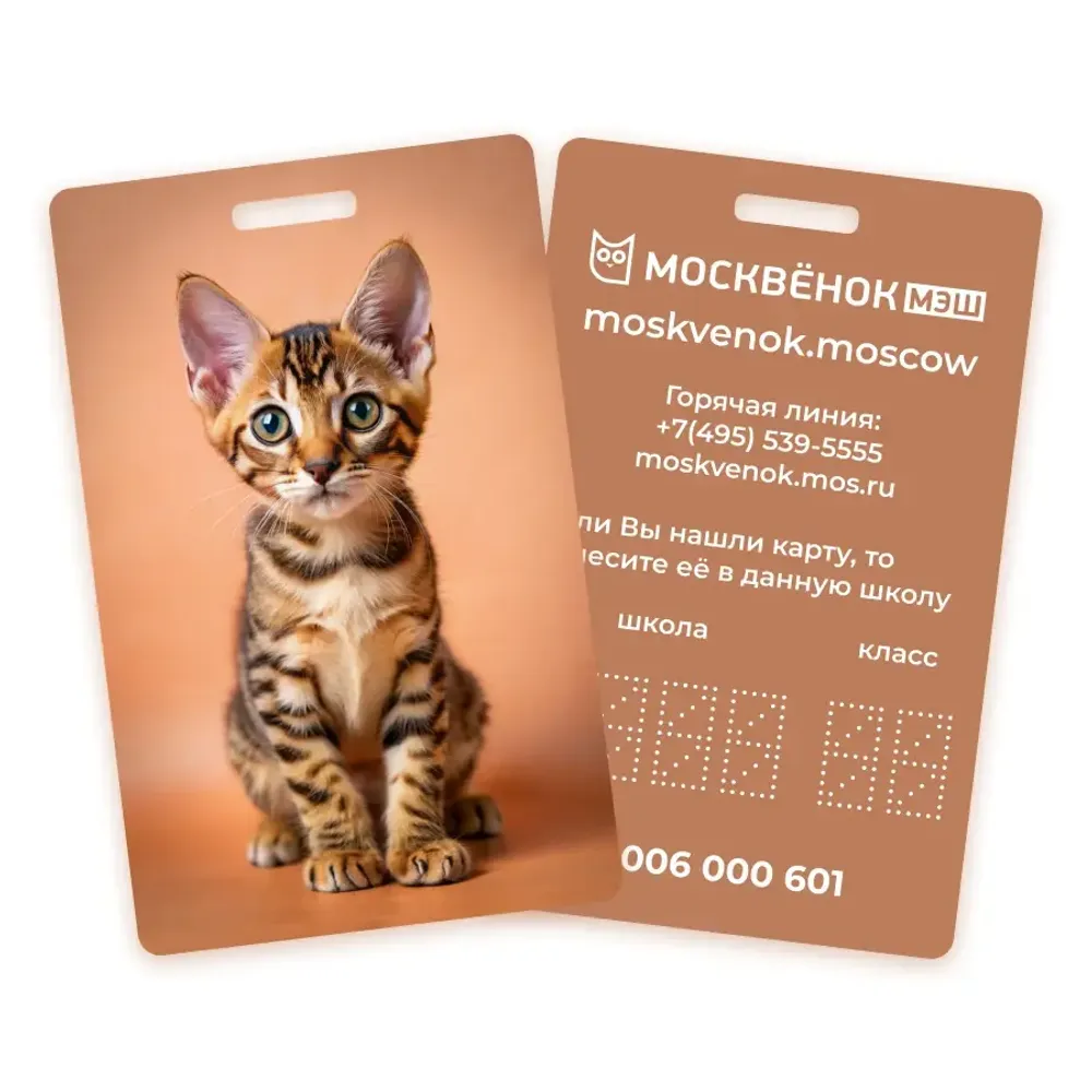 Карта Москвёнок CATS №2 (проход + питание)