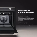 DeLonghi Газовый духовой шкаф NSFG 11 XL RUS