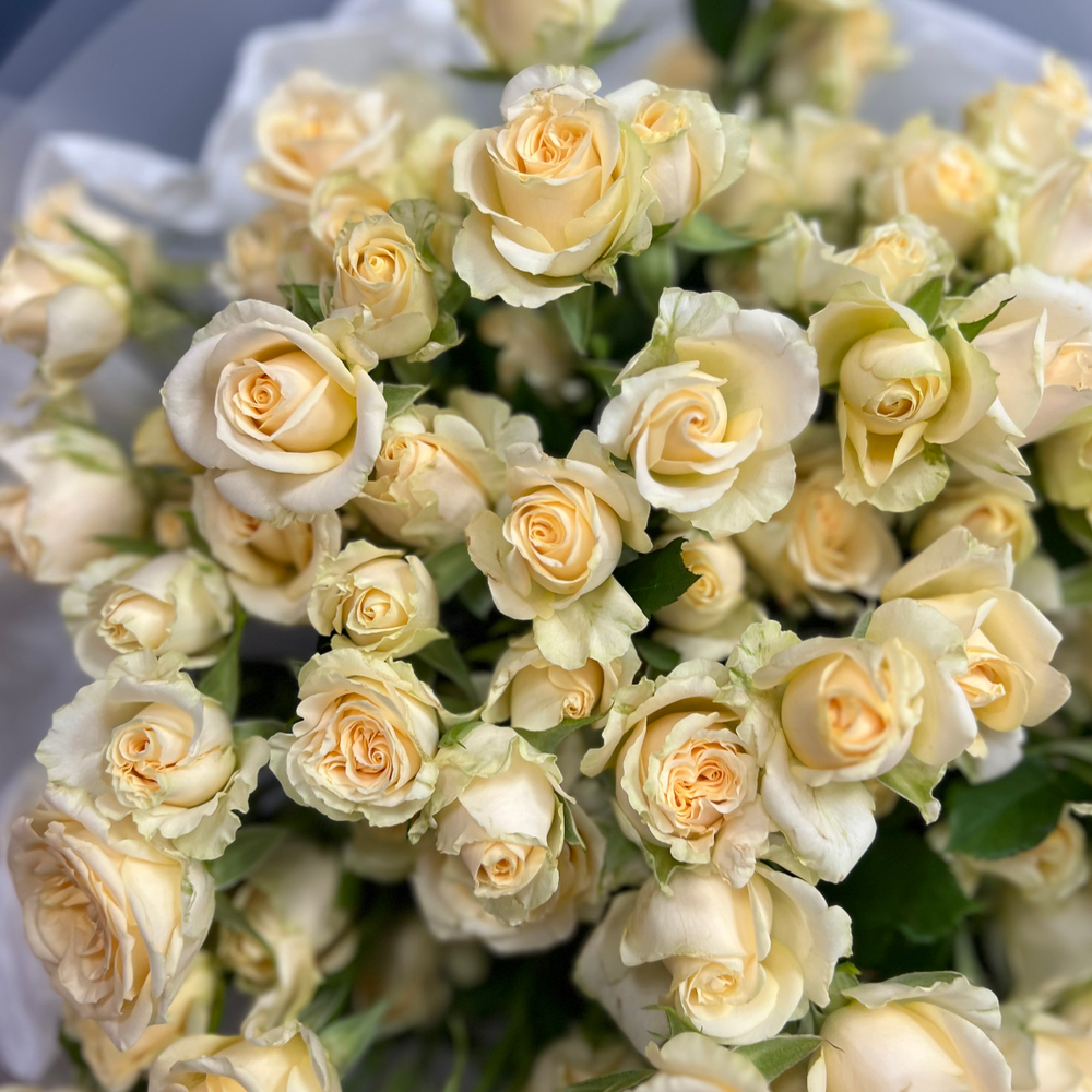 Букет из кустовых кремовых роз #37
