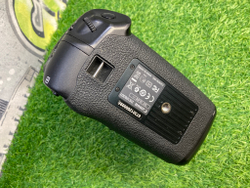 Canon EOS 1DX (257.000 кадров)