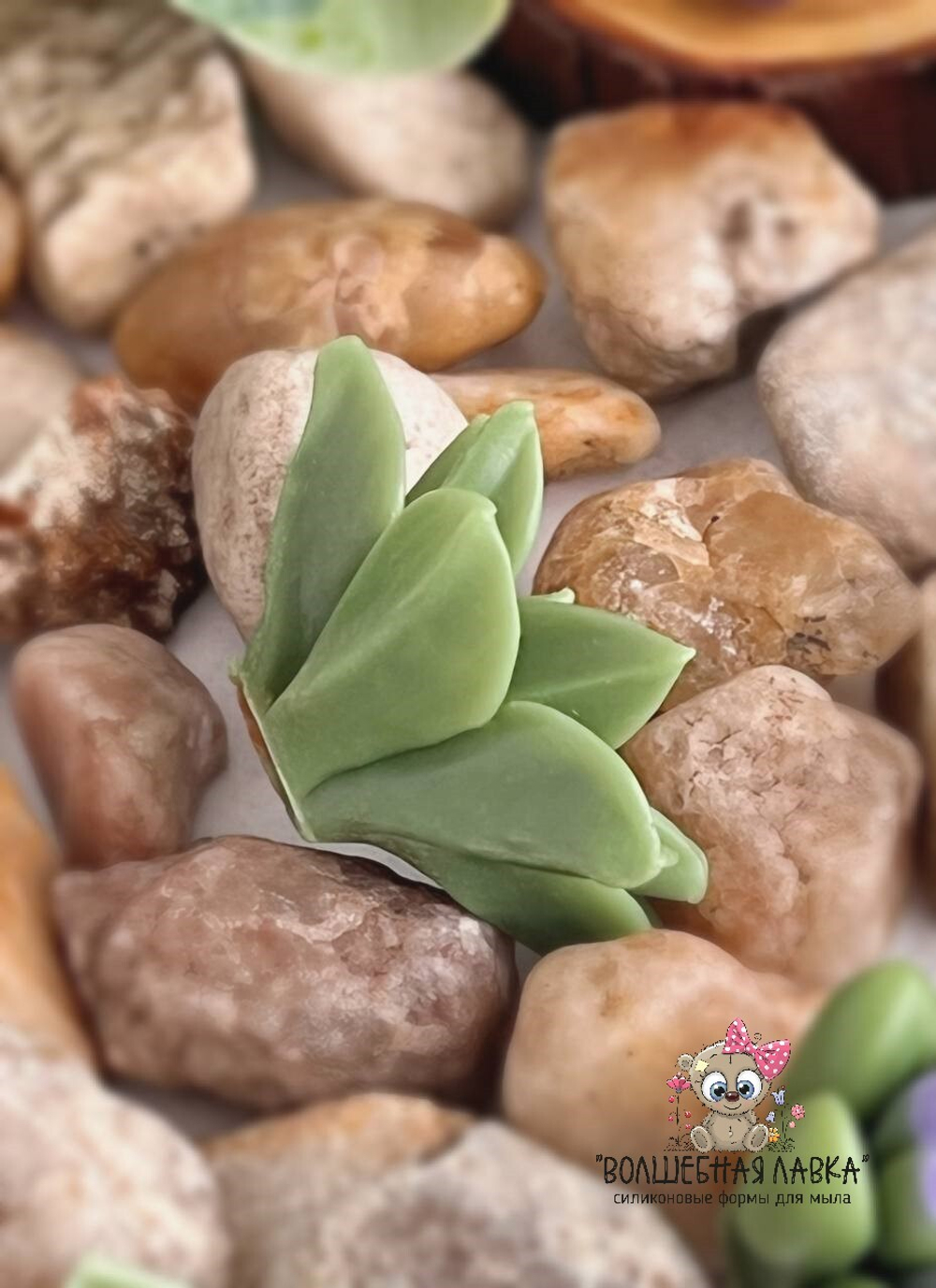 Силиконовая форма Суккулент