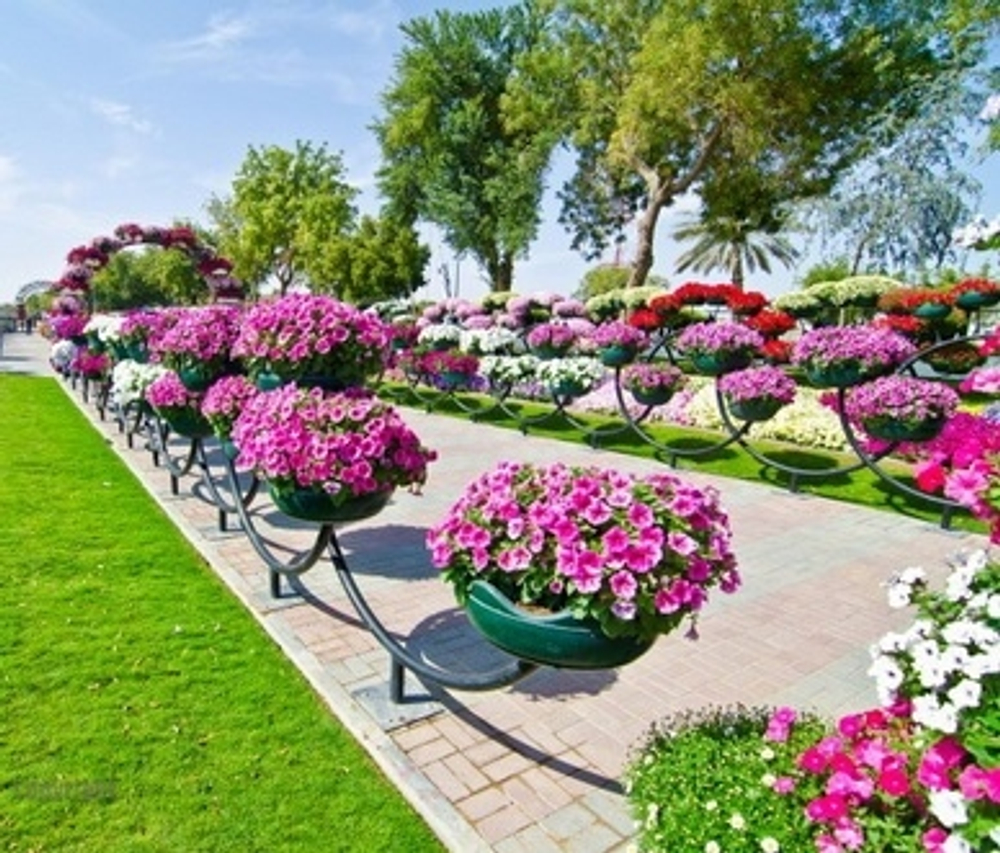 Цветочница Волна