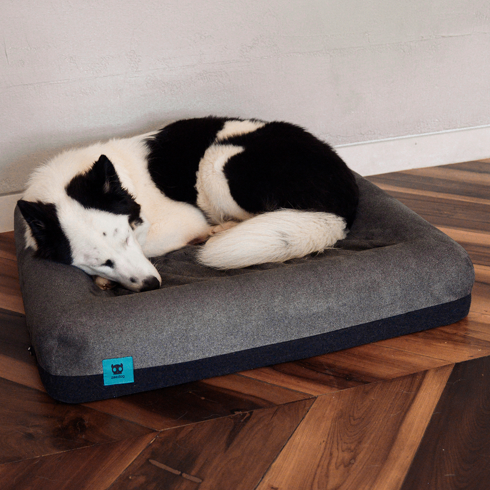 Лежанка Zee.Bed SKULL 2.0 Zee.Dog