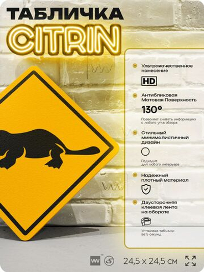 Табличка прикольная "Осторожно, утконосы" на дверь и стену, информационная и предупреждающая, декоративный знак, 24,5х24,5 см, пластиковая, Айдентика Технолоджи