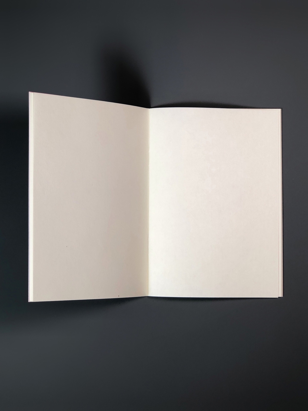 Блокнот А6 «Мяубук песочный»