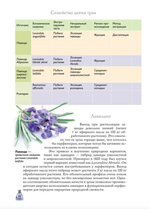 Духи. Основы парфюмерии