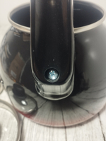 Чайник 3л сфер со свист Кармен (4шт)4с209/я