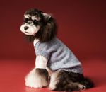 Жилетка для животных Офис (синяя, шерсть)