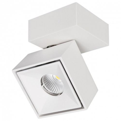 Спот Citilux CL558020N