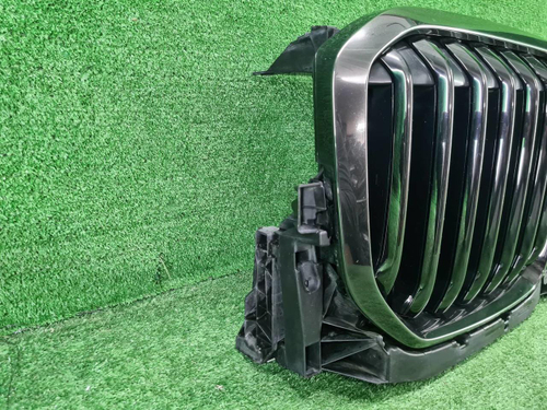 Решетка радиатора BMW X7 G07 (2019-2022)