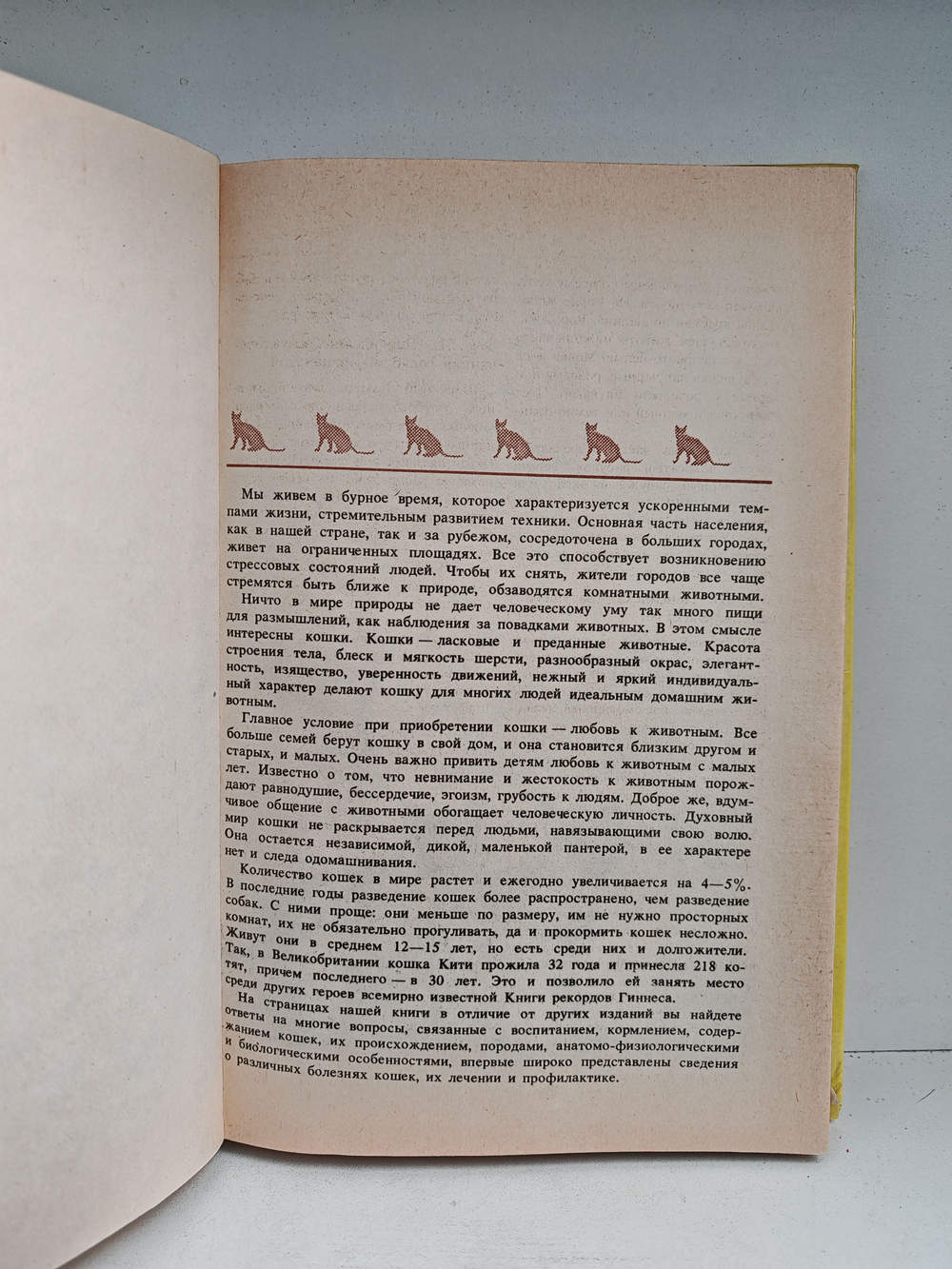 Домашние кошки
