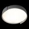 Потолочный светодиодный светильник Loft IT Coin 10200 Grey