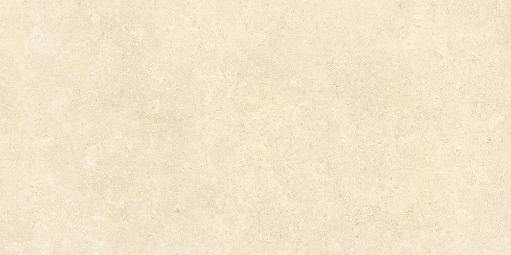 60х120 SandStone Песочный Матовый R10A Ректификат