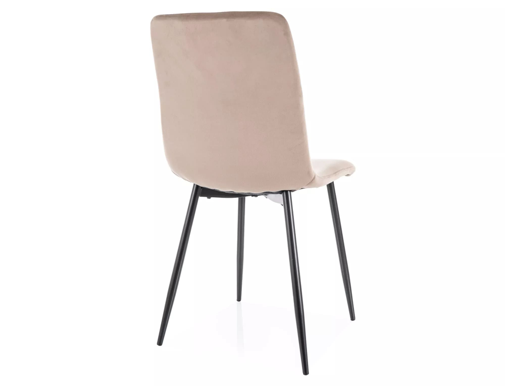 Стул SIGNAL DAREN Velvet Bluvel 40 темно-бежевый/черный